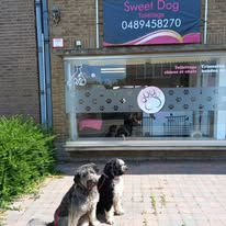 503872370_1128071396026675_7609217083871783276_n