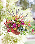 hanging flower basket.png