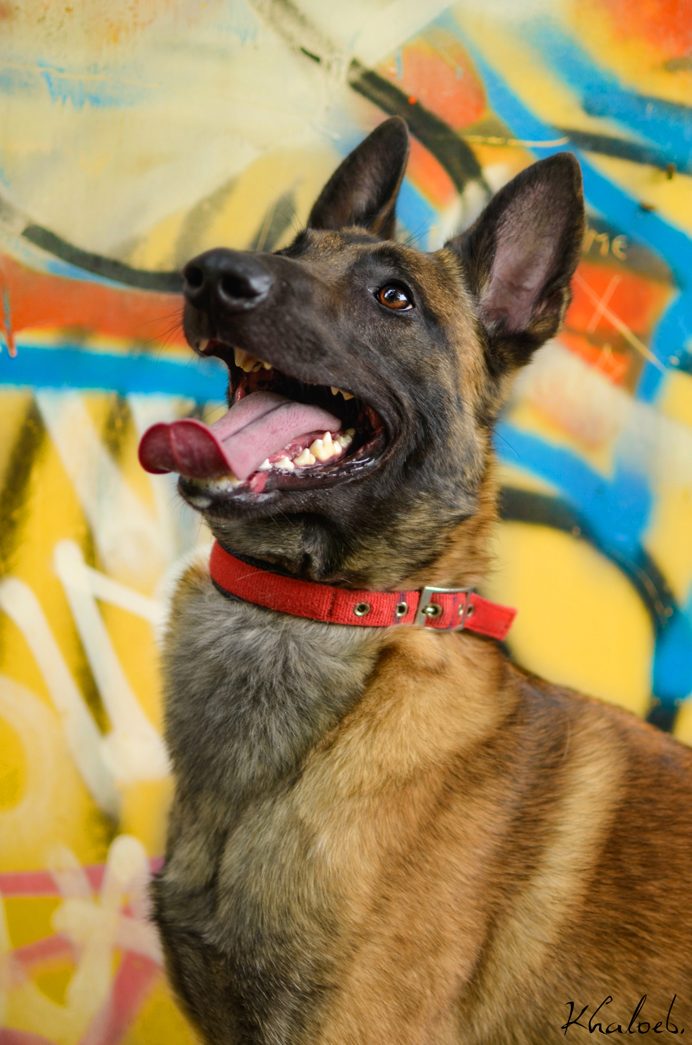 Tyson