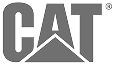 CAT 1.png