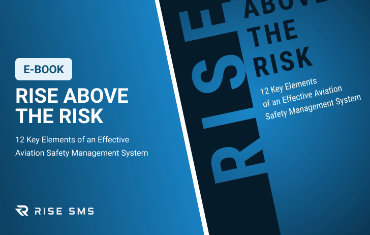 E-Book Rise Above the Risk