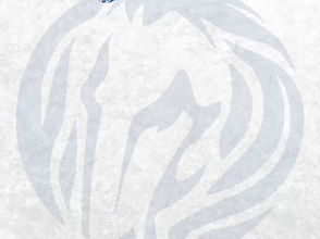 Celebrating a Decade of Resilience and Growth