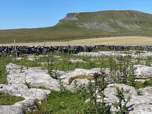 A side view of Pen-y-Ghent, one of the Yorkshire Three Peaks, with some of the limestone in the foreground that the area is famous for.