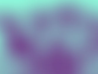 Es wird mächtig in Bremen dackeln