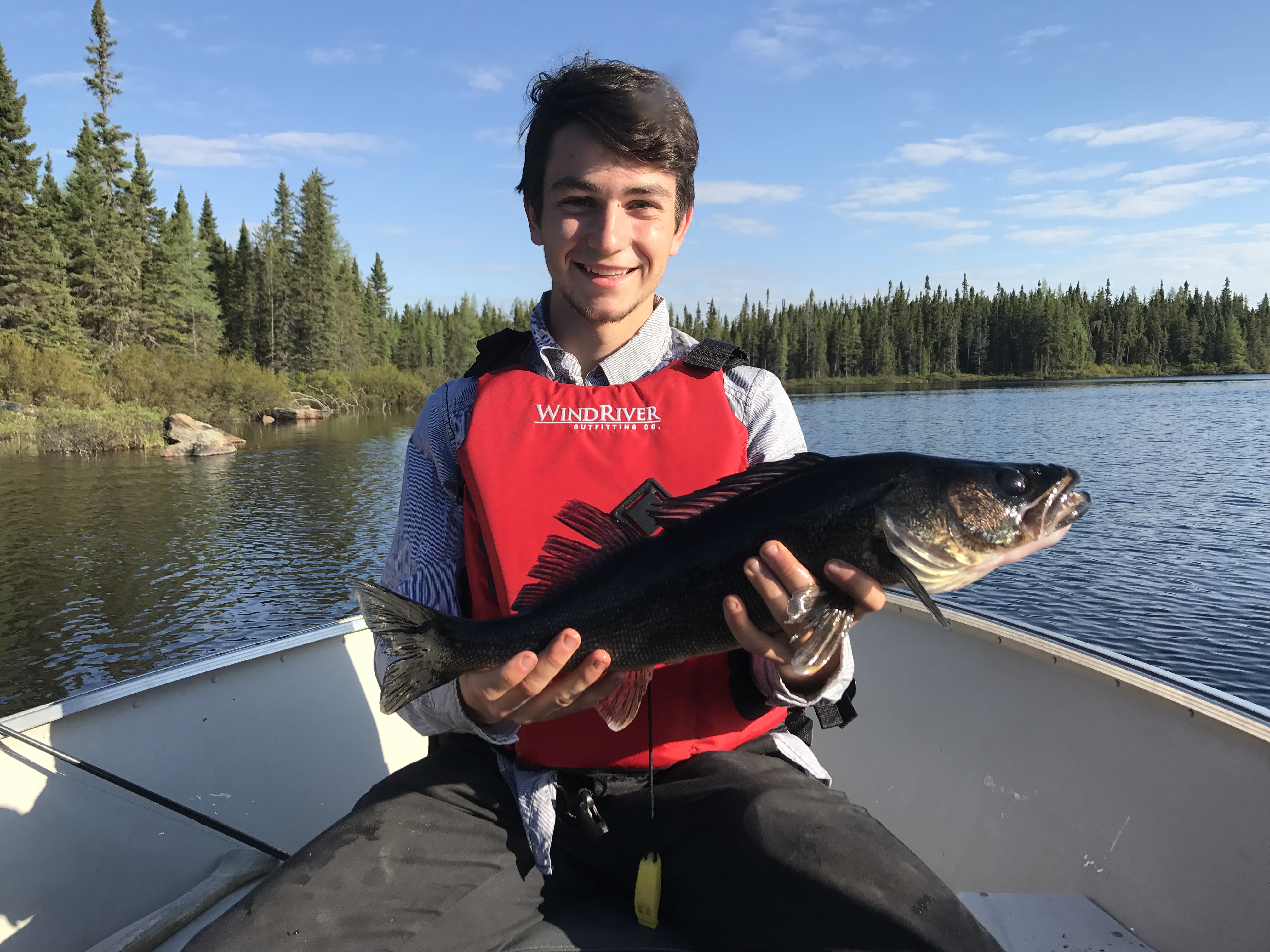 Forfaits de chasse à l'orignal — Balbuzard Sauvage – Balbuzard Sauvage