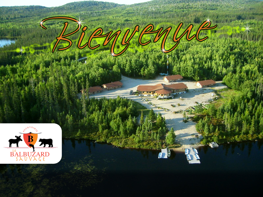Fall moose hunt package — Balbuzard Sauvage – Balbuzard Sauvage