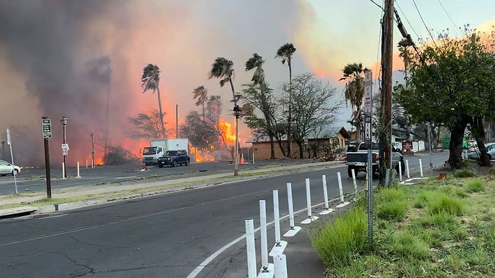 maui fire image.jpg