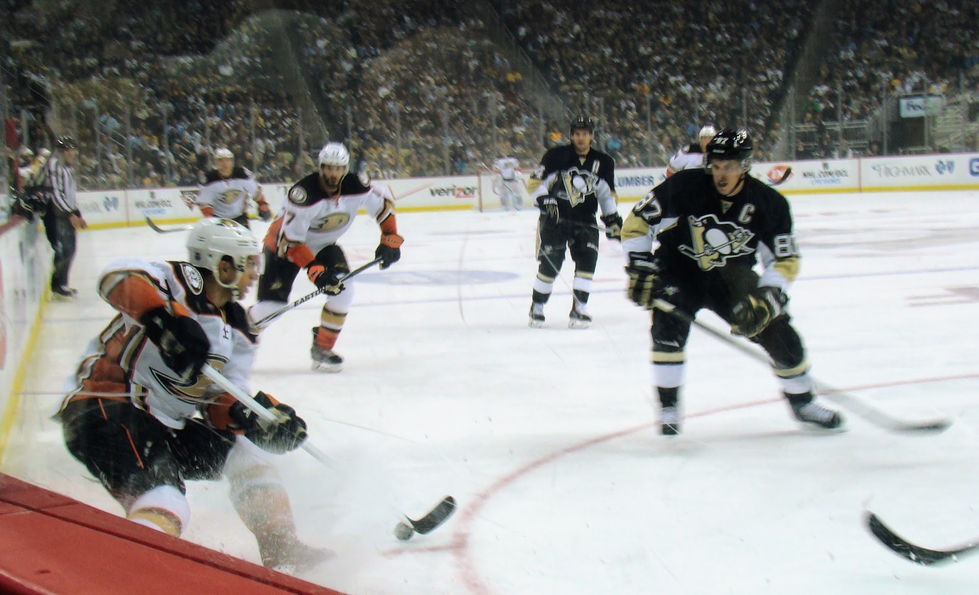 DSC09912 Sidney Crosby challenged the Ducks puck carrier [NHL Faceoff 2014- PIT vs. ANA Ho