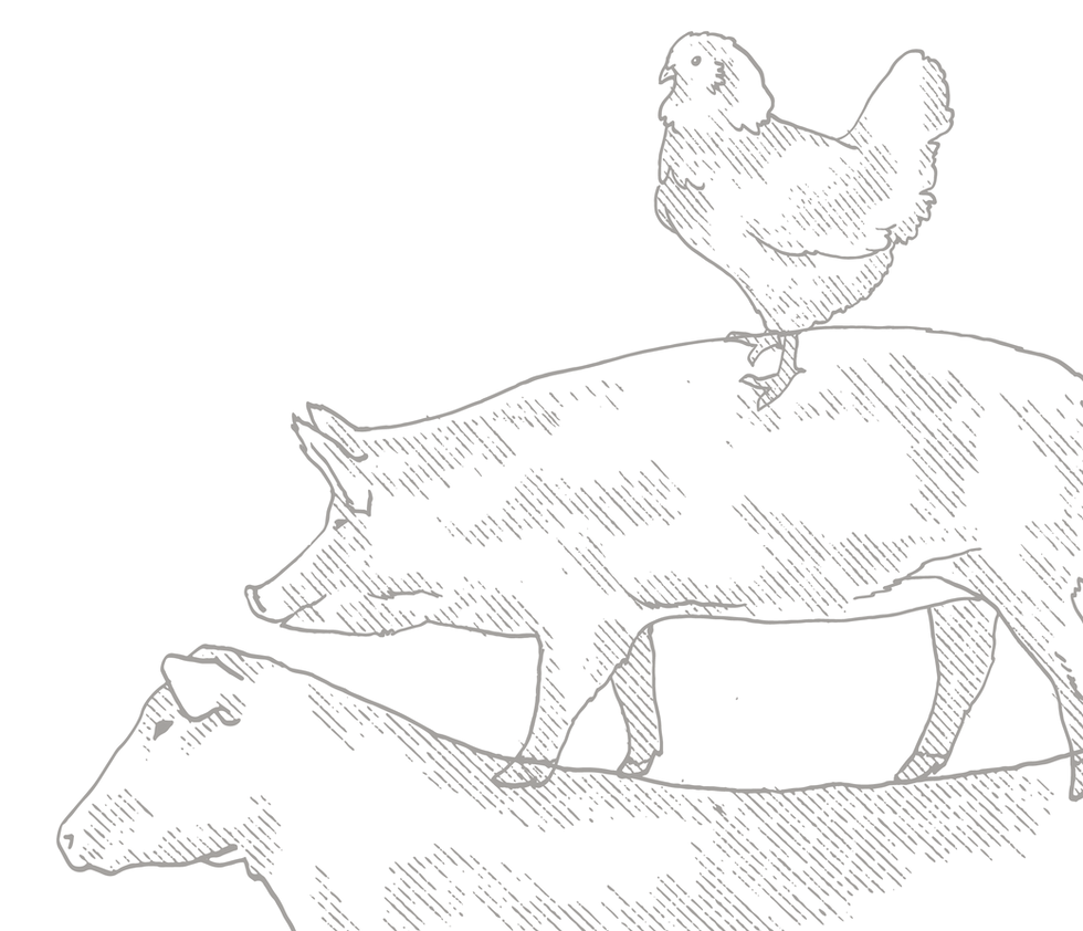 Deekydawg illustration Design.png