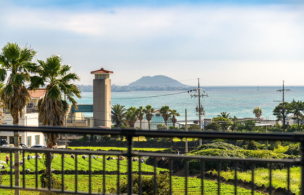 애월씨앤스타_루프탑_올샷포토-3