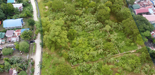 Screenshot 2025-05-27 143338.png