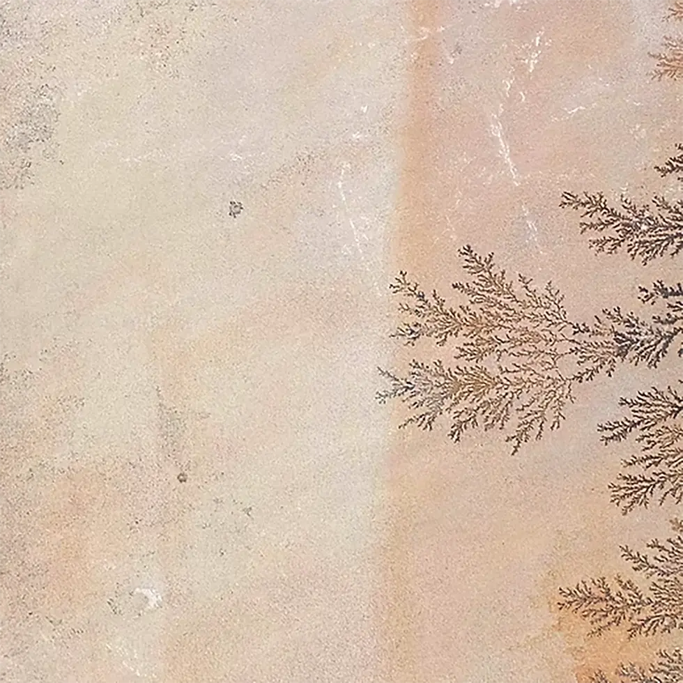 Mint-Fossil-Sandstone-Paving.webp