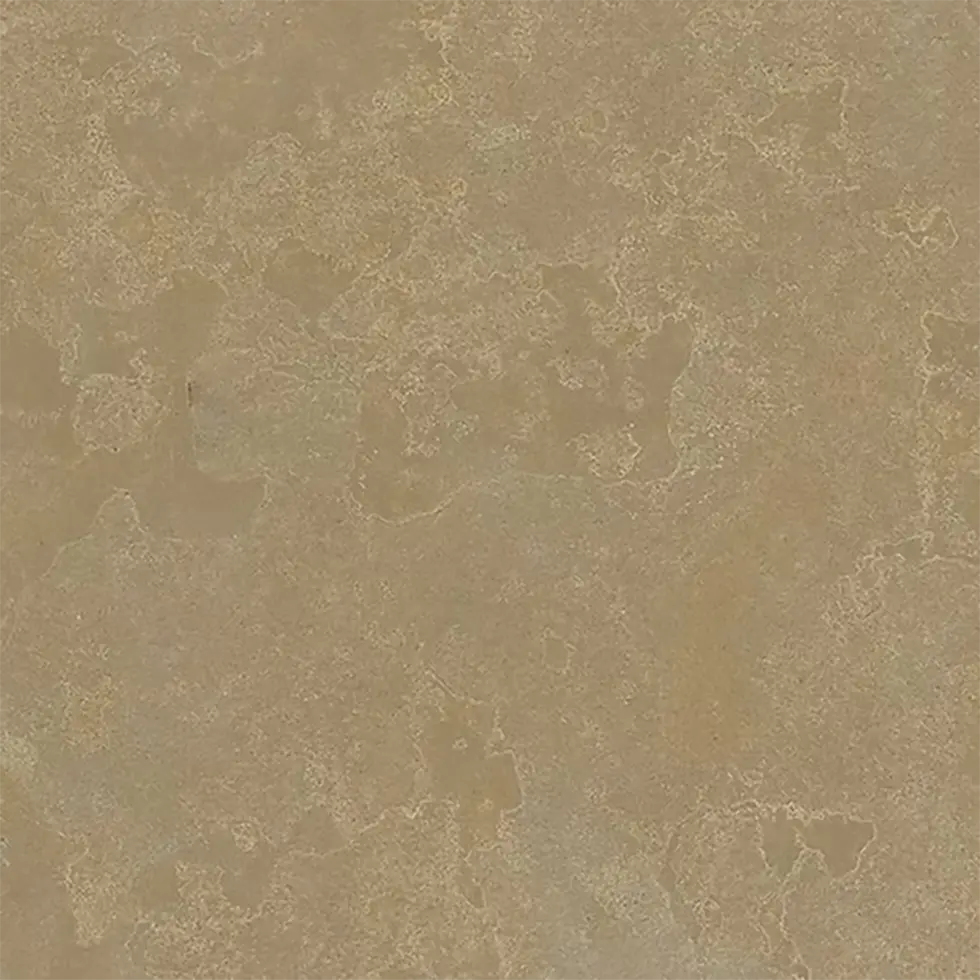 Tandur-Yellow.webp