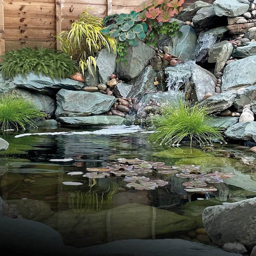 Home-Rockery.webp