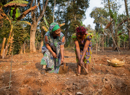 Why Cooperatives Matter in Financial Inclusion: e-MFP during the International Year of Cooperatives