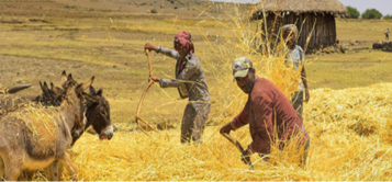 beneficiary of climate risk insurance
