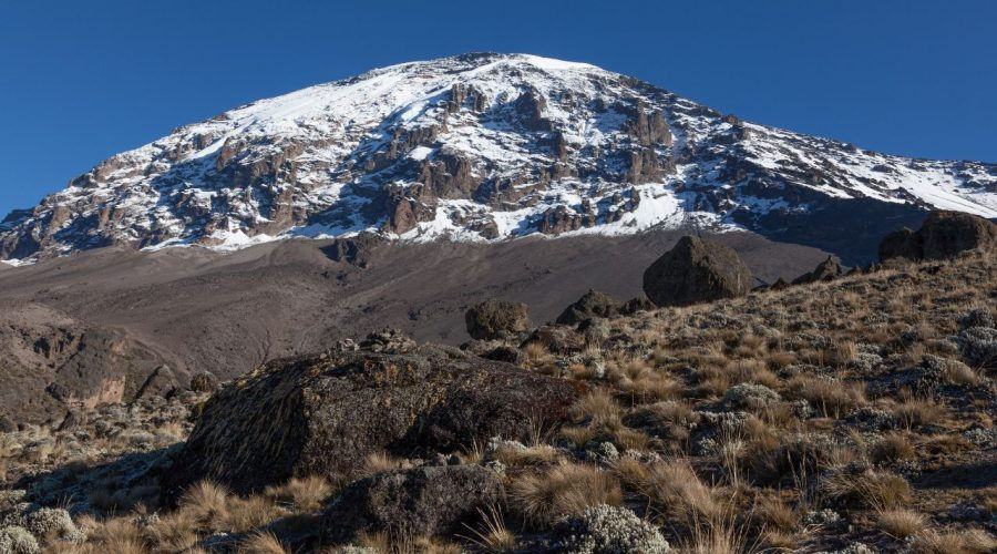 kilimanjaro mountain tour.jpg