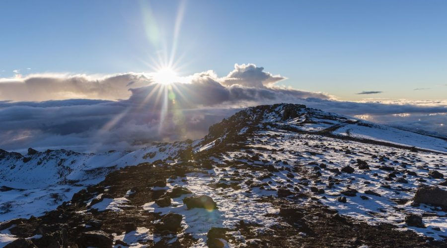 kilimanjaro view