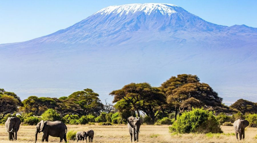 kilimanjaro mountain trip