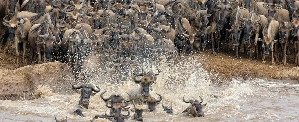 Mara-River-3-1960x800.webp