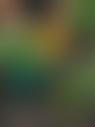 Soil, Food & Metabolism of Leadership