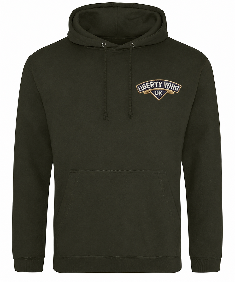 Thumbnail: Classic Coloured Liberty Wing Hoodie