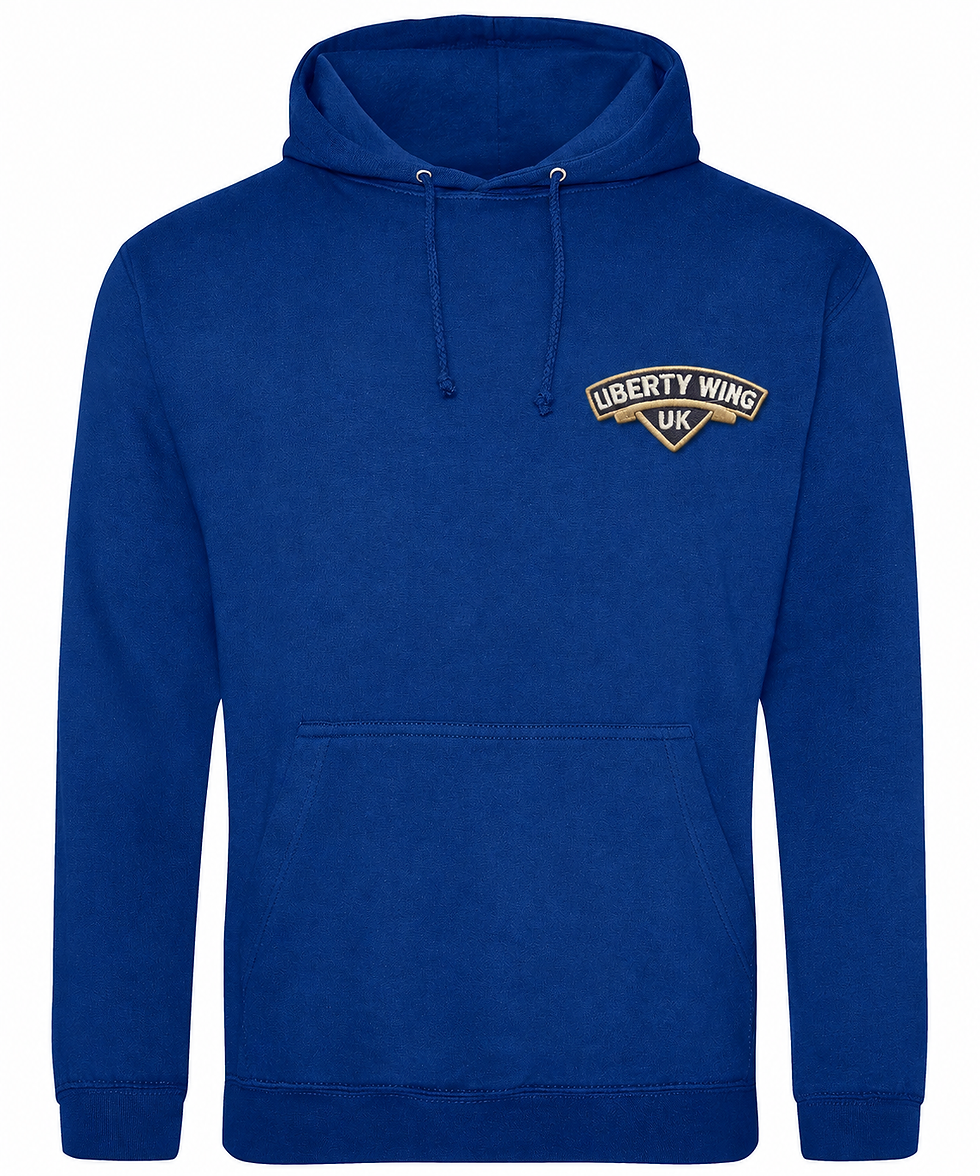 Thumbnail: Fun Bold Coloured Liberty Wing Hoodies