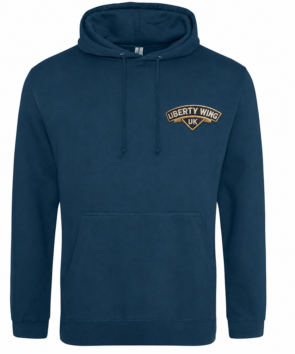 Thumbnail: Fun Bold Coloured Liberty Wing Hoodies
