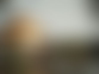 Discover Top Historical Sites to Explore in Kyoto Today