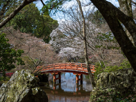 Descubre las mejores rutas de senderismo en Kyoto hoy