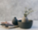 Plants and Pottery