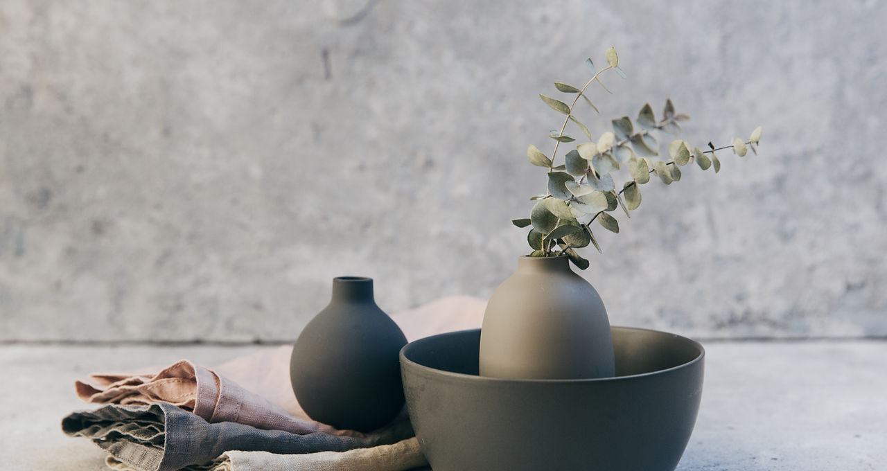 Plants and Pottery