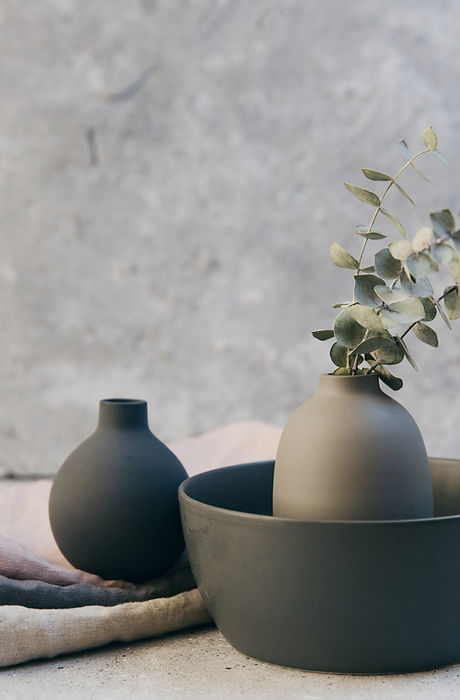 Plants and Pottery