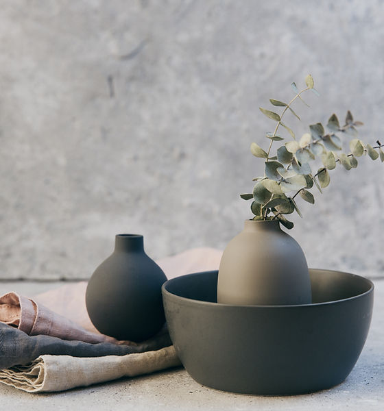 Plantes et poterie
