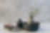 Plants and Pottery