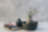 Plantes et poterie
