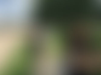 PAPA Members Praying for the unborn