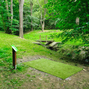 Discgolf Týn nad Vltavou