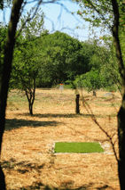 Discgolf Plzeň Vinice