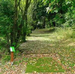 Discgolf Týn nad Vltavou