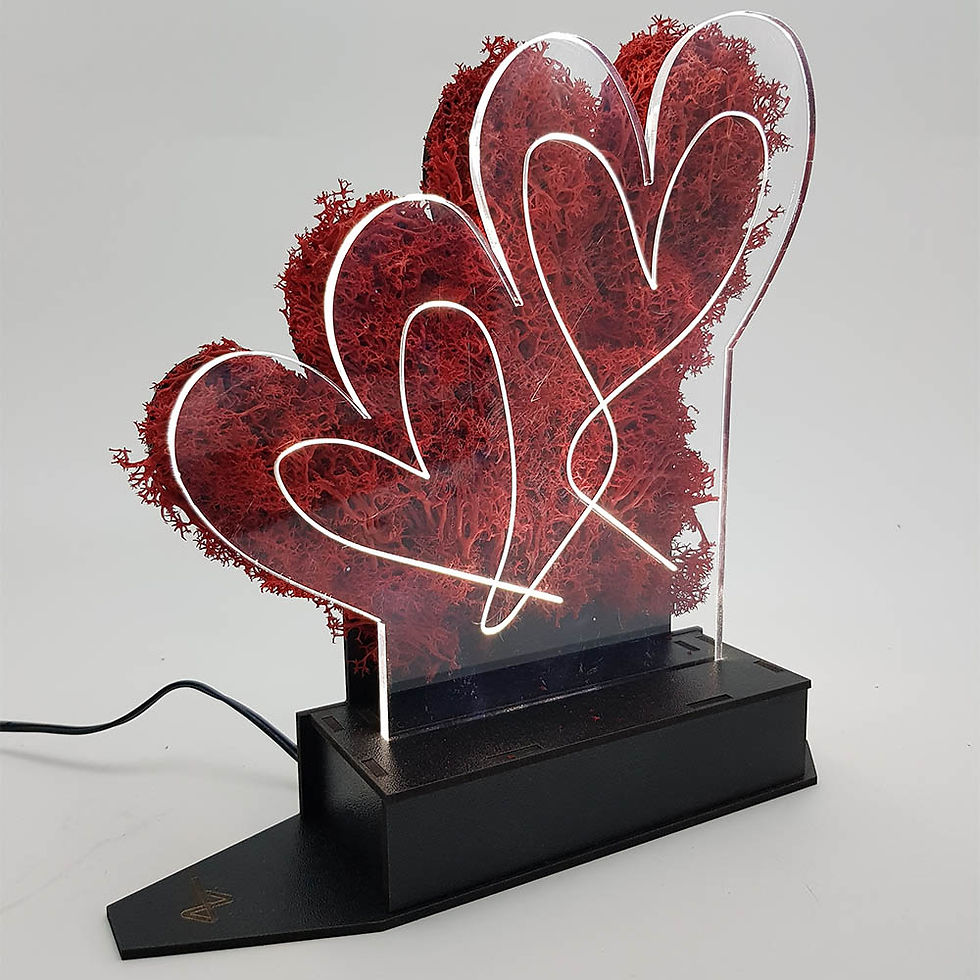 Küçük resim: COR MEUM Geminus