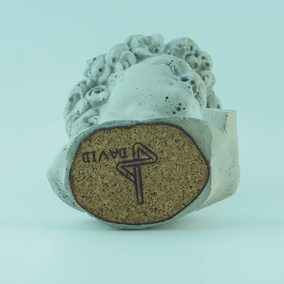 Küçük resim: DAVID