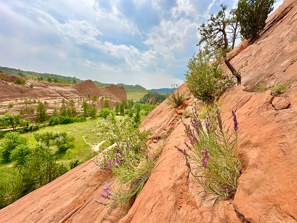 Father-Daughter Outdoor Rock Climb