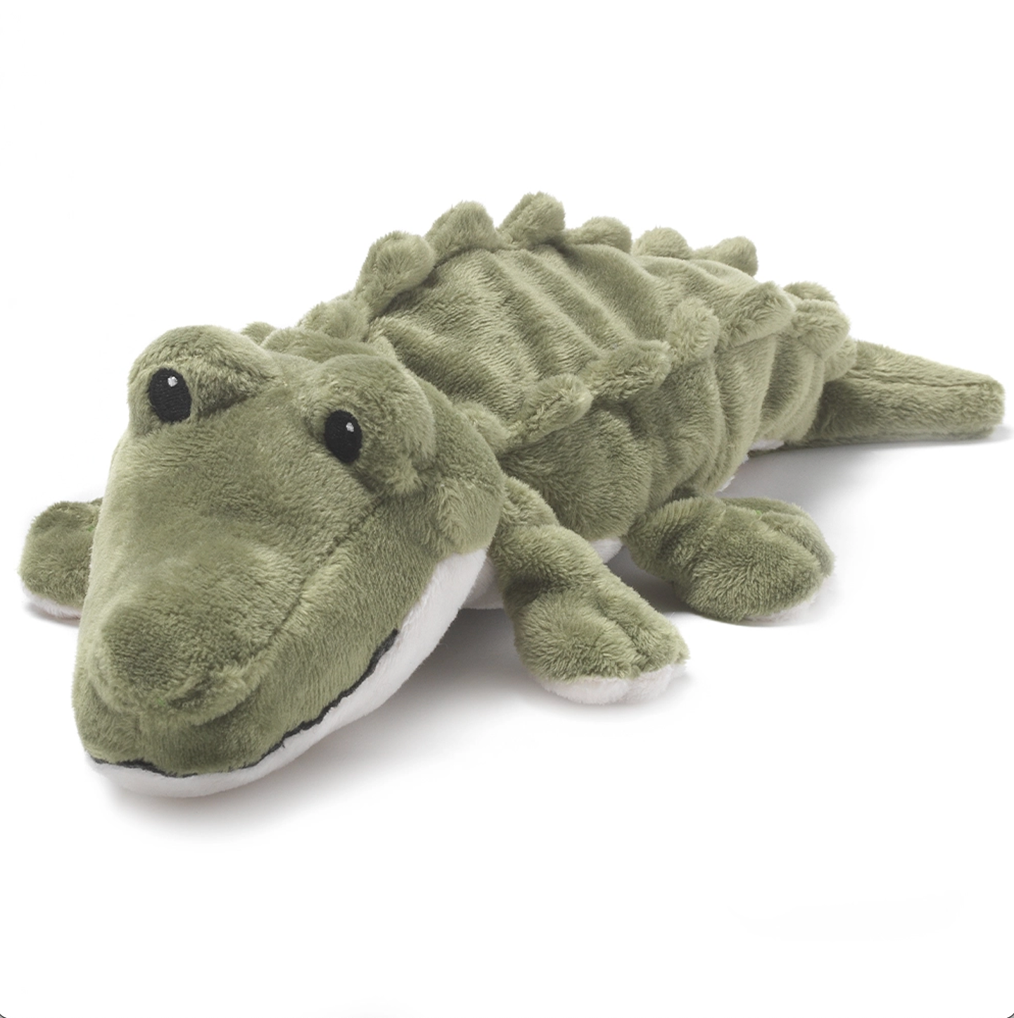 Junior Alligator