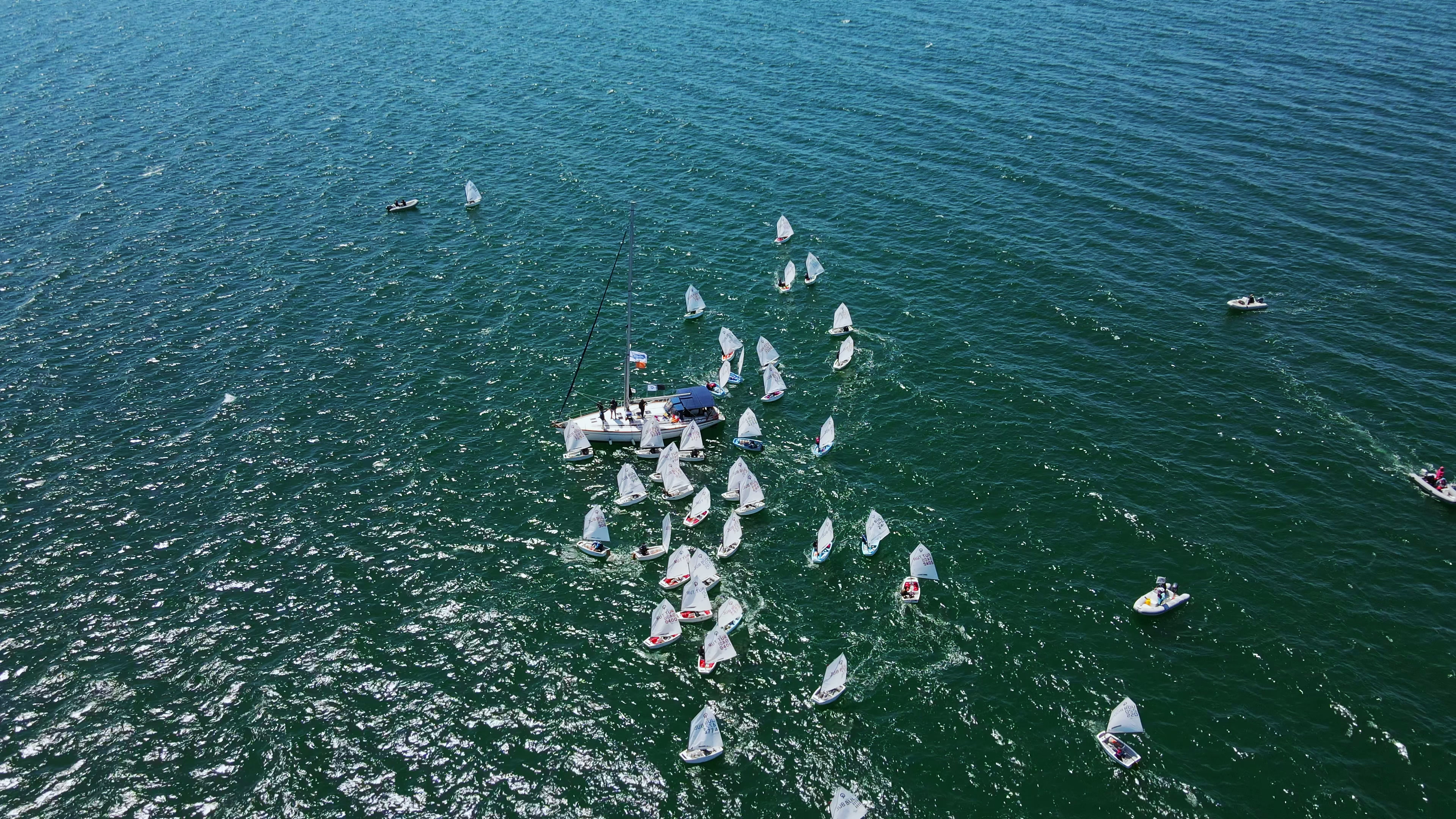 Friends of Belmar Harbor
