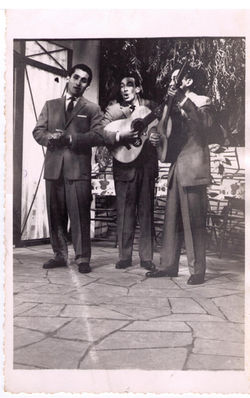 trio fantasia 3