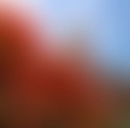 香港人的港大。徐詠璇。信報