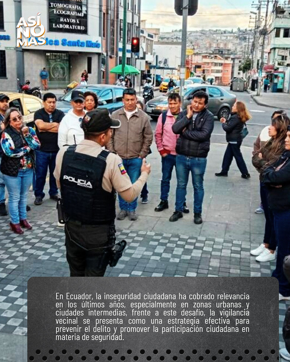 ZONA SEGURA 003