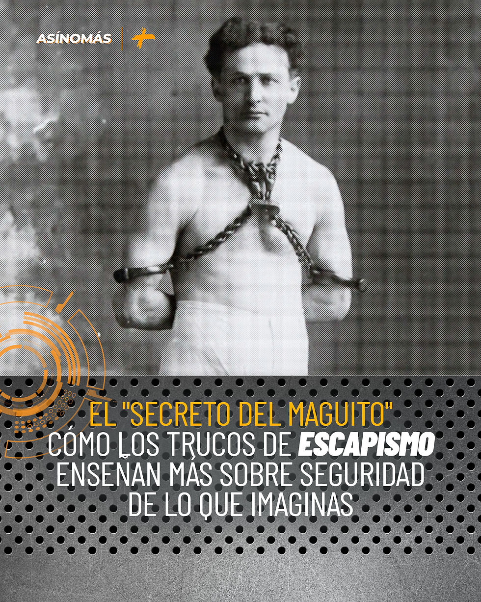 ZONA SEGURA 002
