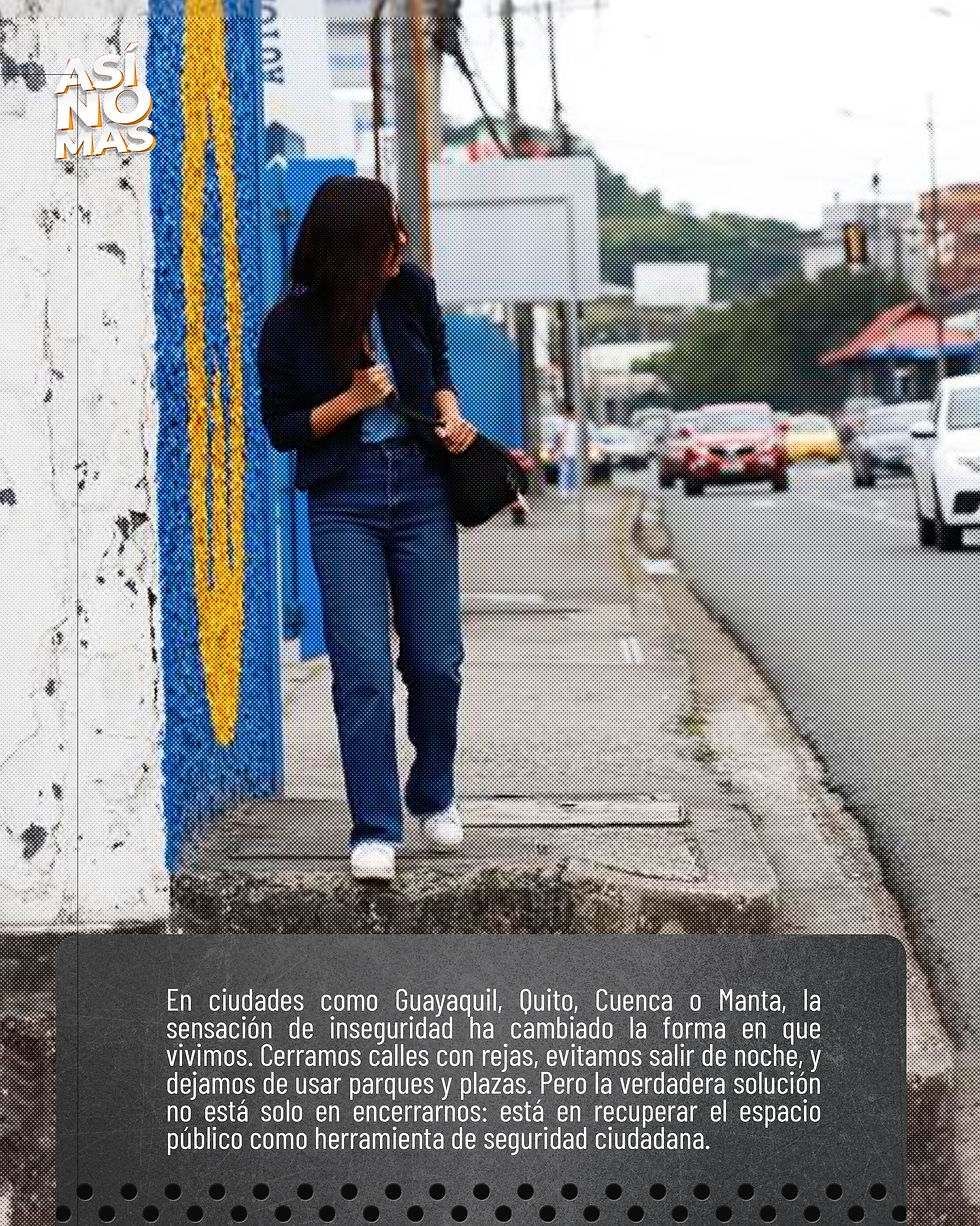 ZONA SEGURA 003